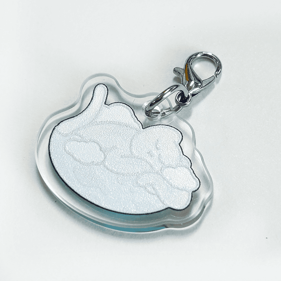 Custom Acrylic Charms
